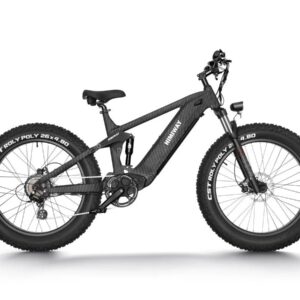 Donation Ride Electric Bike